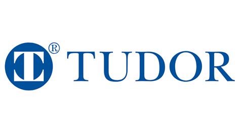 tudor financial consultants|tudor investment corp website.